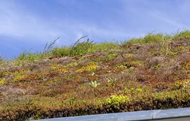 Roofing Industry Trends For 2022