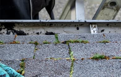 Roof Requirements For Homeowners Insurance