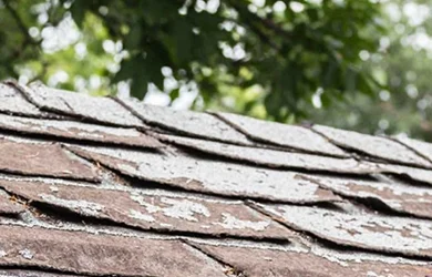 When To Repair Or Replace Your Roof Thumbnail